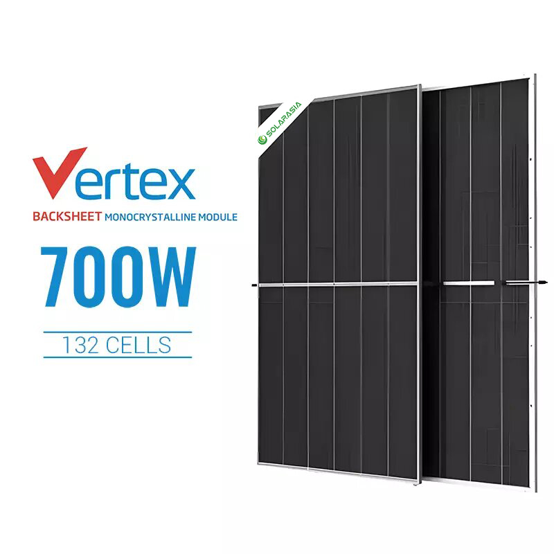 Panel solar bifacial Trina de alta potencia de 700 W